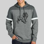 Drive Fleece Colorblock Hoodie Thumbnail