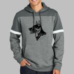 Drive Fleece Colorblock Hoodie Thumbnail