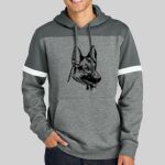 Drive Fleece Colorblock Hoodie Thumbnail