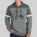 Drive Fleece Colorblock Hoodie Thumbnail