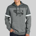 Drive Fleece Colorblock Hoodie Thumbnail