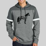 Drive Fleece Colorblock Hoodie Thumbnail