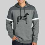 Drive Fleece Colorblock Hoodie Thumbnail
