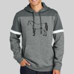 Drive Fleece Colorblock Hoodie Thumbnail