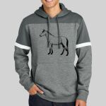 Drive Fleece Colorblock Hoodie Thumbnail