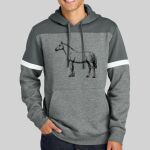 Drive Fleece Colorblock Hoodie Thumbnail