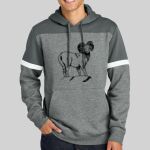 Drive Fleece Colorblock Hoodie Thumbnail
