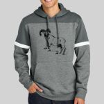 Drive Fleece Colorblock Hoodie Thumbnail