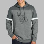 Drive Fleece Colorblock Hoodie Thumbnail