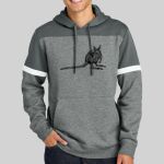 Drive Fleece Colorblock Hoodie Thumbnail