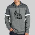 Drive Fleece Colorblock Hoodie Thumbnail