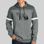 Drive Fleece Colorblock Hoodie Thumbnail
