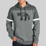 Drive Fleece Colorblock Hoodie Thumbnail