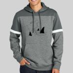Drive Fleece Colorblock Hoodie Thumbnail