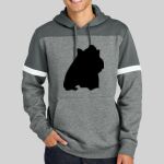 Drive Fleece Colorblock Hoodie Thumbnail
