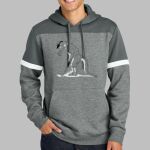 Drive Fleece Colorblock Hoodie Thumbnail