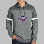 Drive Fleece Colorblock Hoodie Thumbnail
