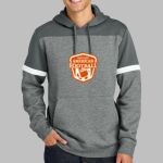 Drive Fleece Colorblock Hoodie Thumbnail