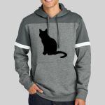 Drive Fleece Colorblock Hoodie Thumbnail