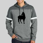 Drive Fleece Colorblock Hoodie Thumbnail