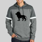 Drive Fleece Colorblock Hoodie Thumbnail
