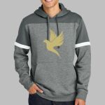 Drive Fleece Colorblock Hoodie Thumbnail