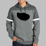 Drive Fleece Colorblock Hoodie Thumbnail