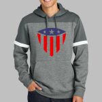 Drive Fleece Colorblock Hoodie Thumbnail