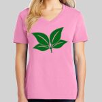 Ladies Core Cotton V Neck Tee Thumbnail