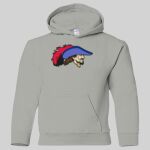 Heavy Blend Youth Hooded Sweatshirt Thumbnail