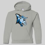 Heavy Blend Youth Hooded Sweatshirt Thumbnail