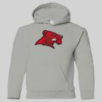 Heavy Blend Youth Hooded Sweatshirt Thumbnail