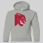 Heavy Blend Youth Hooded Sweatshirt Thumbnail