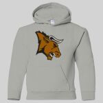 Heavy Blend Youth Hooded Sweatshirt Thumbnail