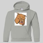 Heavy Blend Youth Hooded Sweatshirt Thumbnail