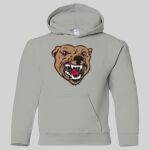 Heavy Blend Youth Hooded Sweatshirt Thumbnail