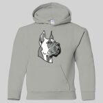 Heavy Blend Youth Hooded Sweatshirt Thumbnail