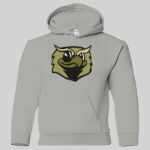Heavy Blend Youth Hooded Sweatshirt Thumbnail