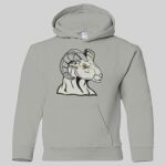 Heavy Blend Youth Hooded Sweatshirt Thumbnail