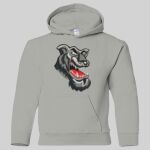 Heavy Blend Youth Hooded Sweatshirt Thumbnail