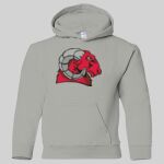 Heavy Blend Youth Hooded Sweatshirt Thumbnail
