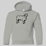 Heavy Blend Youth Hooded Sweatshirt Thumbnail