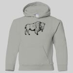 Heavy Blend Youth Hooded Sweatshirt Thumbnail