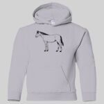 Heavy Blend Youth Hooded Sweatshirt Thumbnail