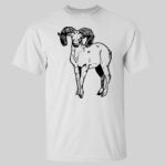 Ultra Cotton T-Shirt Tall Sizes Thumbnail