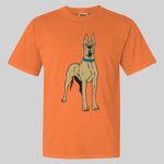 Garment Dyed Heavyweight Ringspun Resort Tee Thumbnail