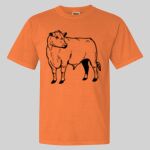 Garment Dyed Heavyweight Ringspun Resort Tee Thumbnail