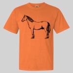 Garment Dyed Heavyweight Ringspun Resort Tee Thumbnail