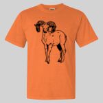 Garment Dyed Heavyweight Ringspun Resort Tee Thumbnail