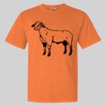 Garment Dyed Heavyweight Ringspun Resort Tee Thumbnail